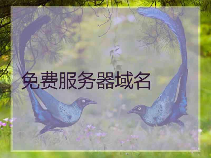 免费服务器域名