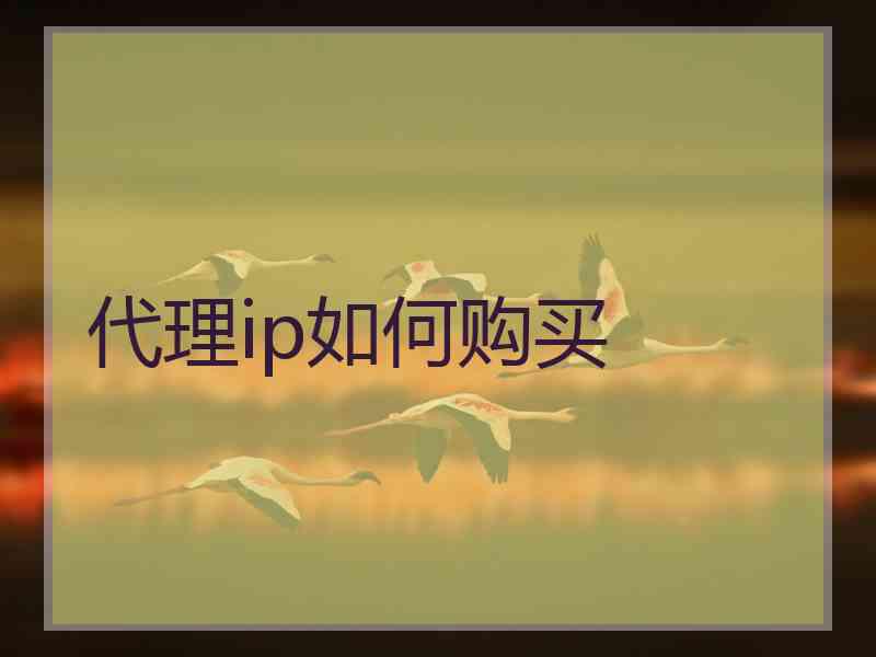 代理ip如何购买