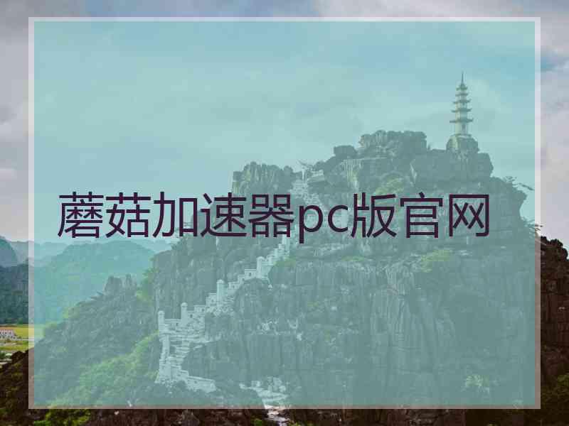 蘑菇加速器pc版官网