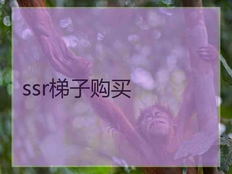 ssr梯子购买