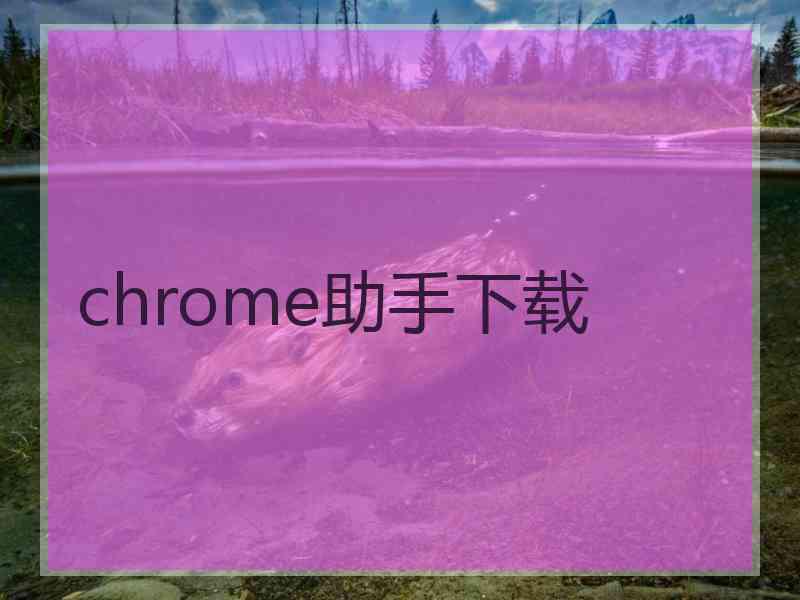 chrome助手下载