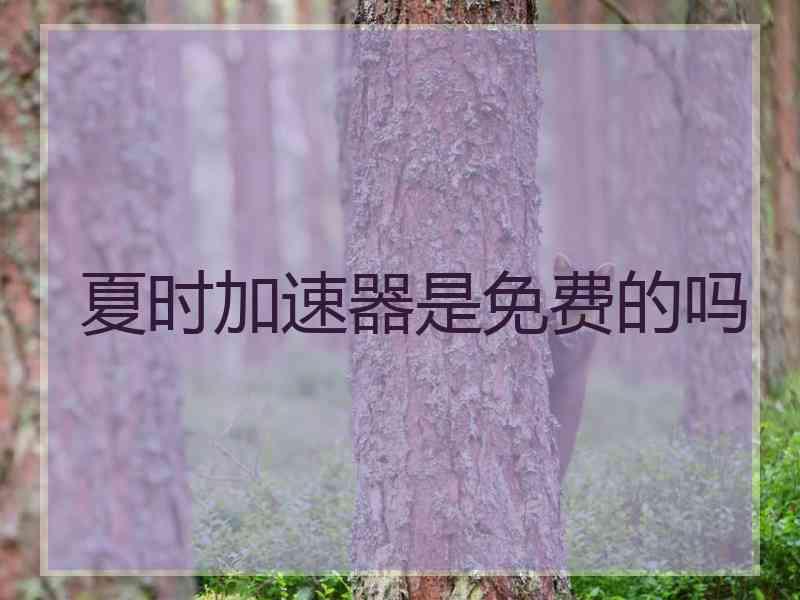 夏时加速器是免费的吗
