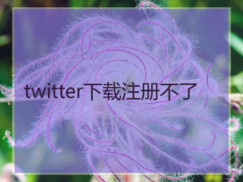 twitter下载注册不了