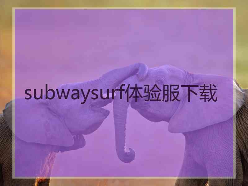 subwaysurf体验服下载