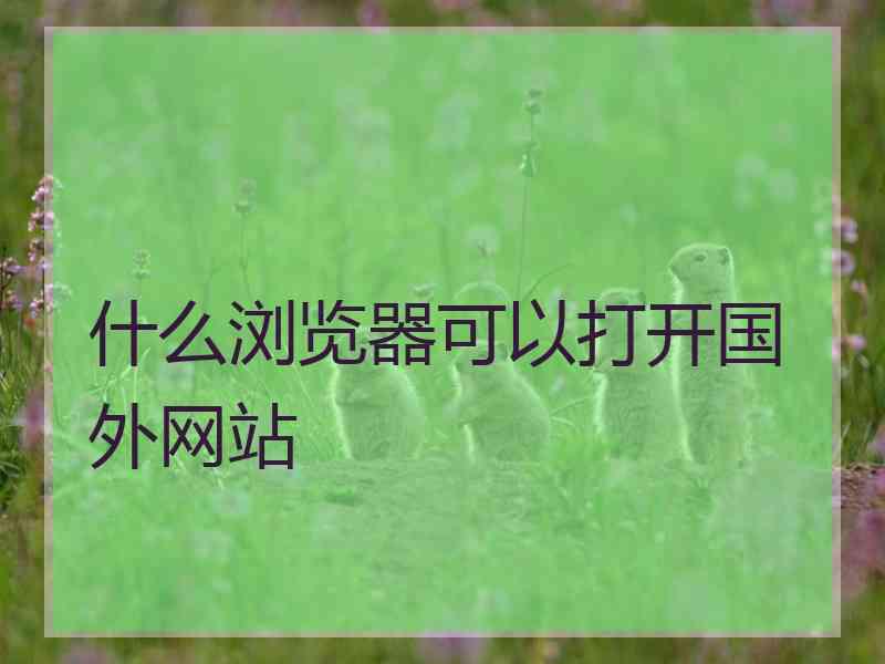 什么浏览器可以打开国外网站