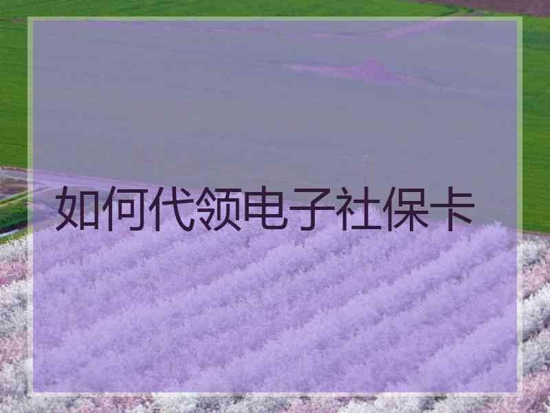如何代领电子社保卡