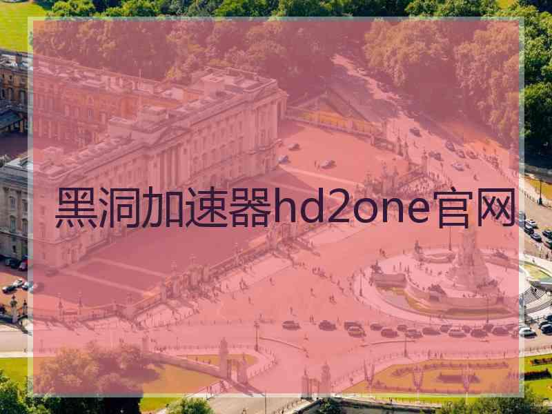 黑洞加速器hd2one官网