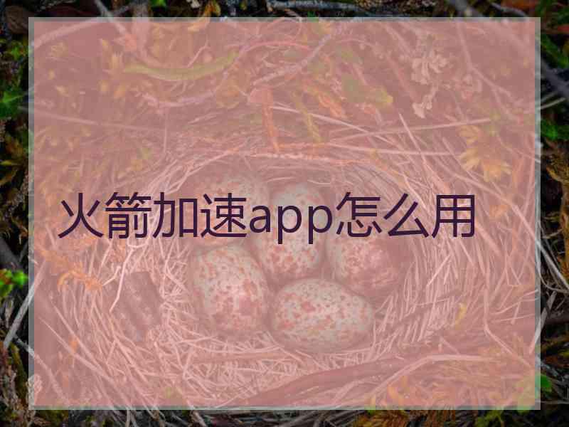 火箭加速app怎么用