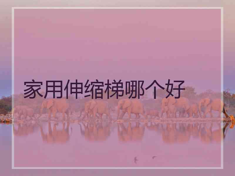 家用伸缩梯哪个好