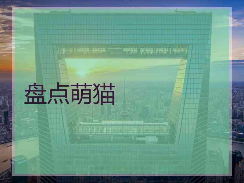 盘点萌猫