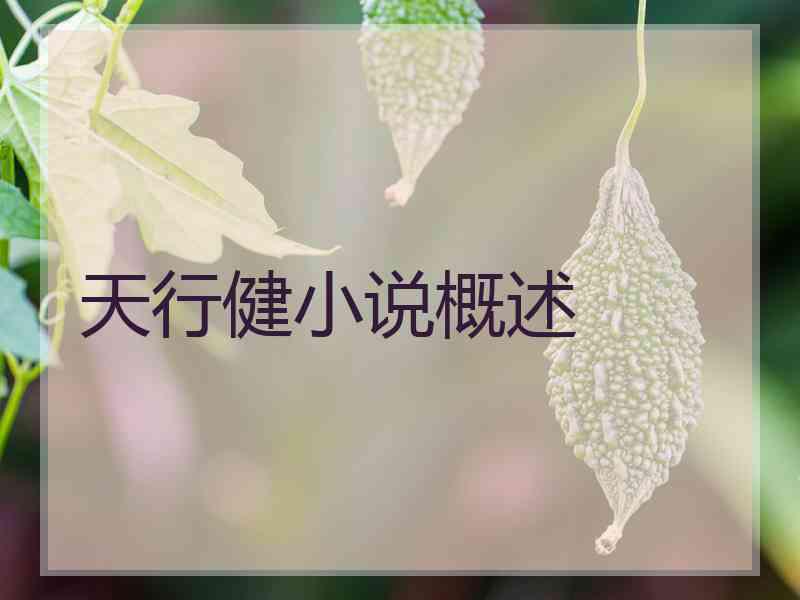 天行健小说概述