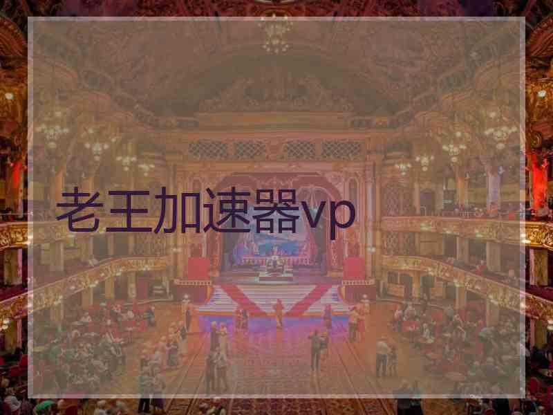 老王加速器vp