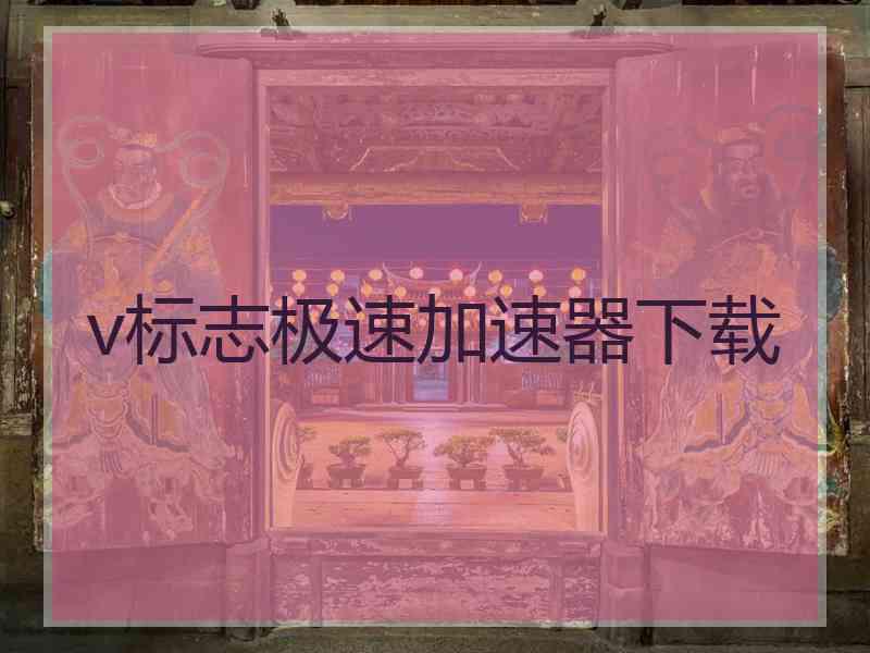 v标志极速加速器下载