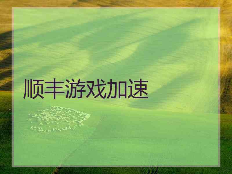 顺丰游戏加速
