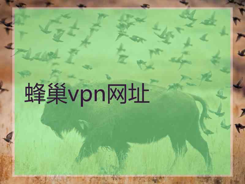 蜂巢vpn网址