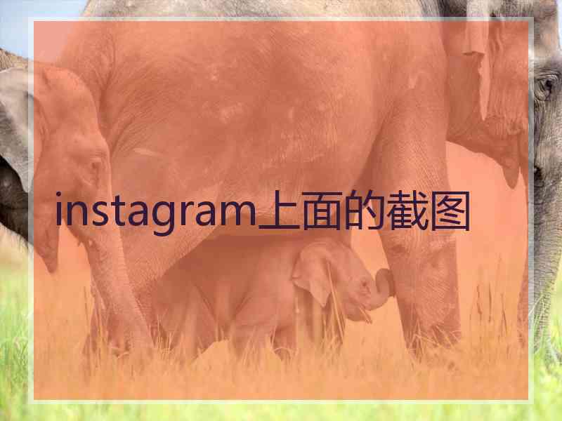instagram上面的截图
