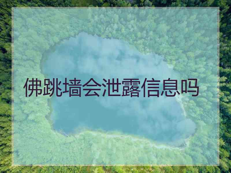 佛跳墙会泄露信息吗
