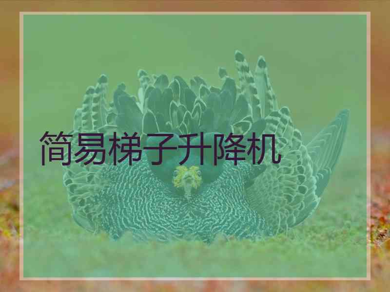 简易梯子升降机