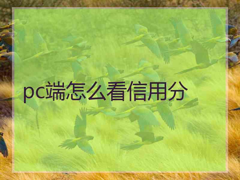 pc端怎么看信用分