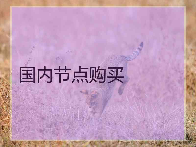国内节点购买