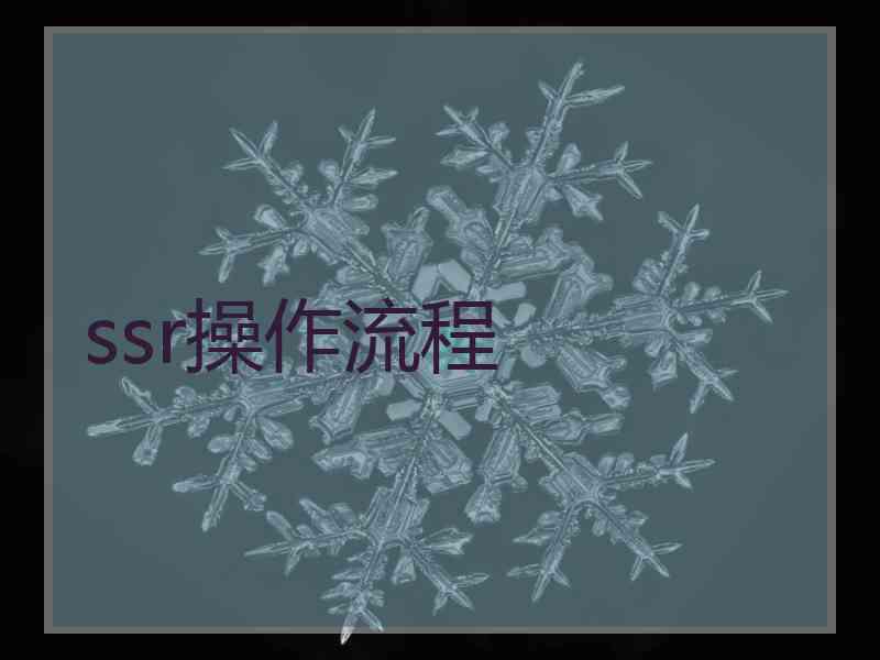ssr操作流程