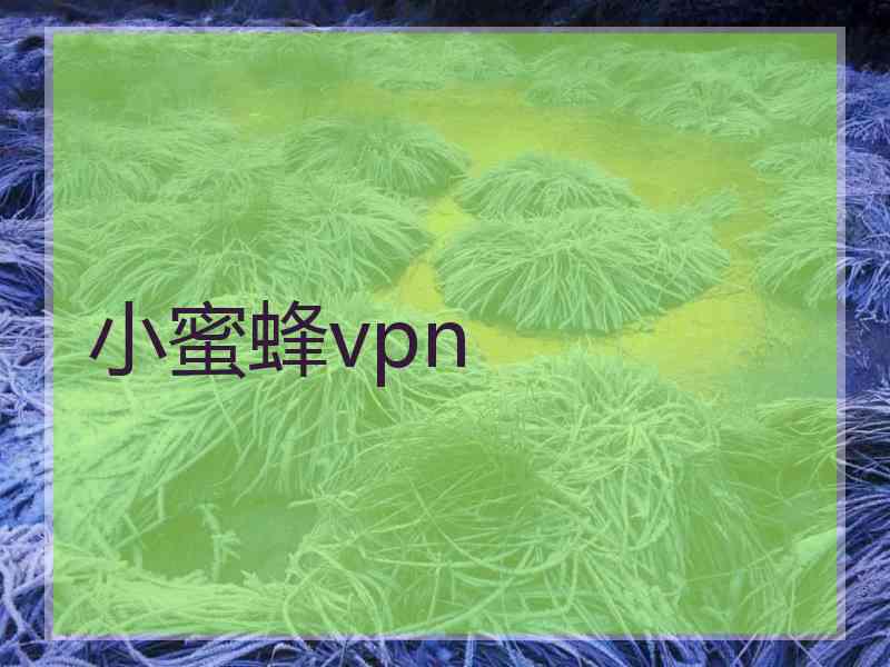 小蜜蜂vpn