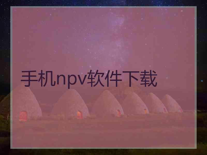 手机npv软件下载