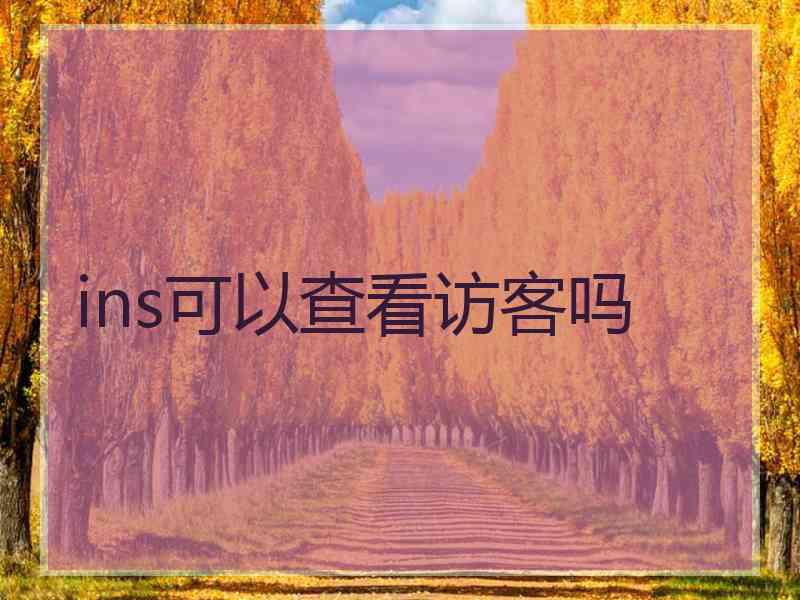 ins可以查看访客吗
