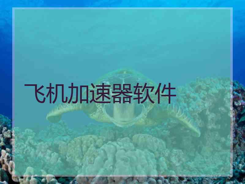 飞机加速器软件