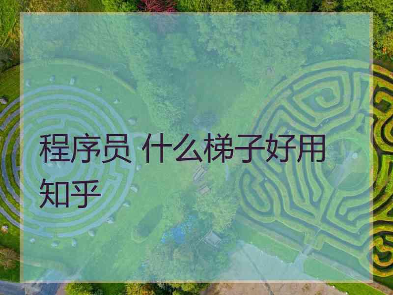 程序员 什么梯子好用 知乎