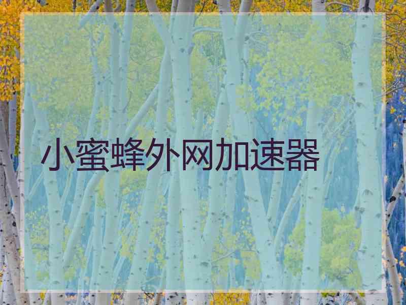 小蜜蜂外网加速器