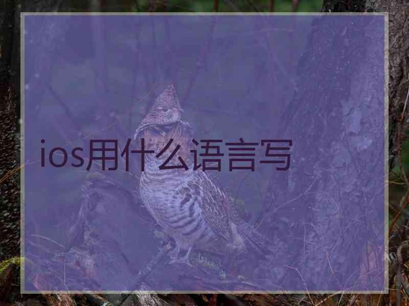 ios用什么语言写