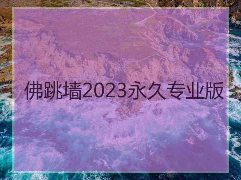 佛跳墙2023永久专业版