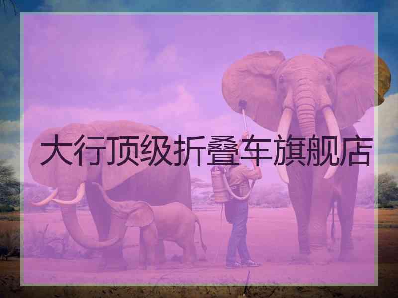 大行顶级折叠车旗舰店