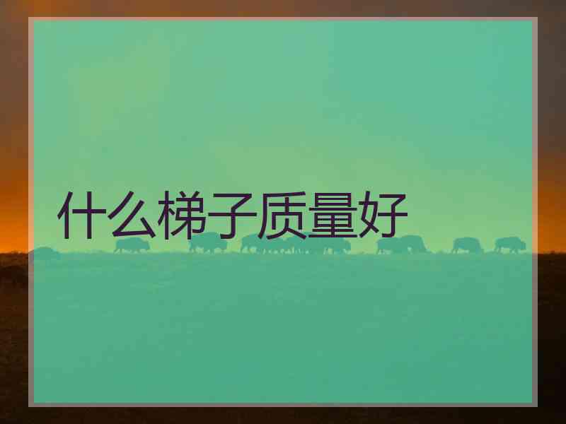什么梯子质量好