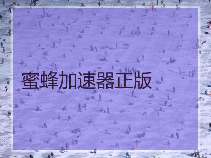蜜蜂加速器正版