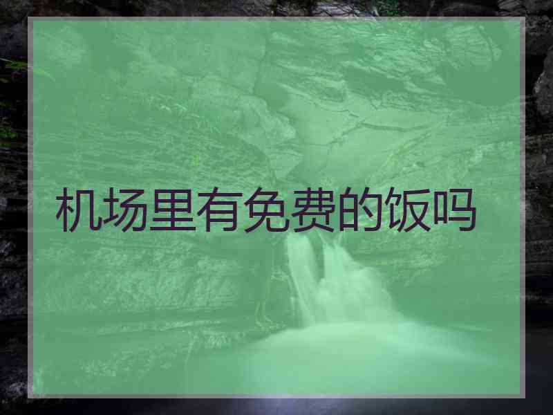 机场里有免费的饭吗