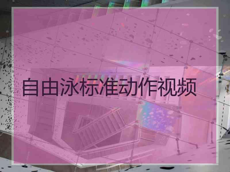 自由泳标准动作视频