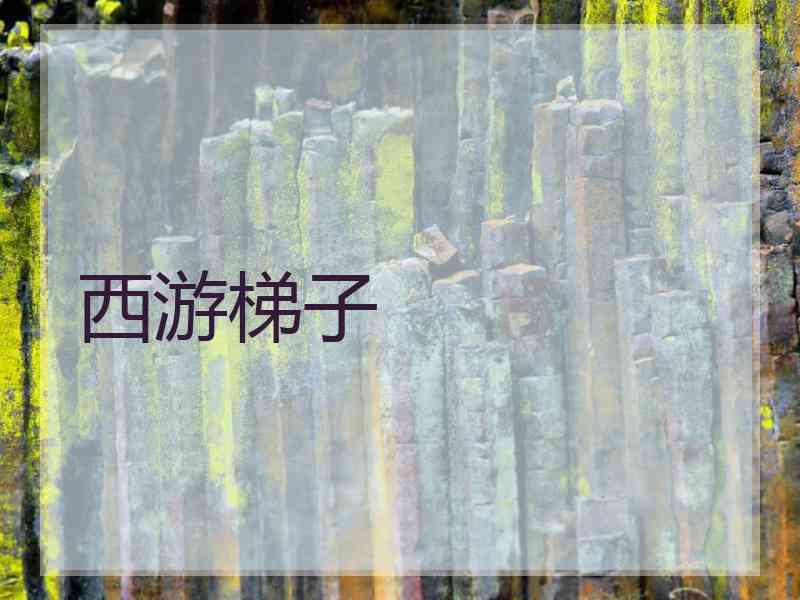 西游梯子