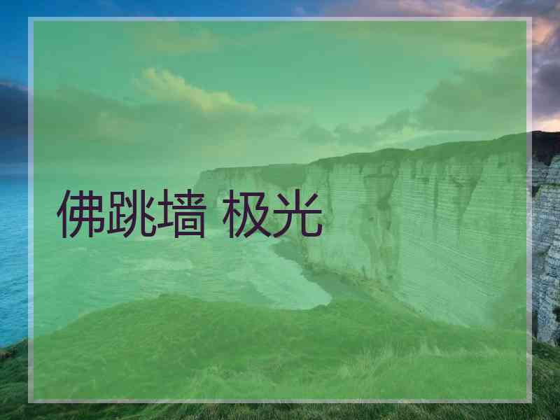 佛跳墙 极光