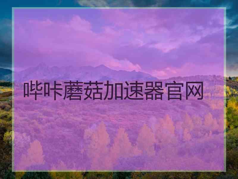 哔咔蘑菇加速器官网
