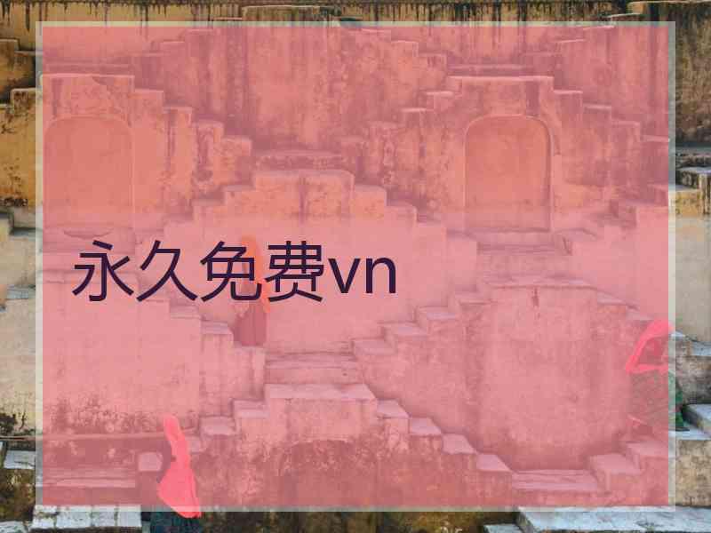 永久免费vn