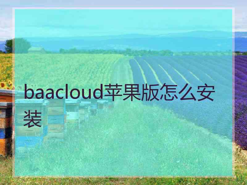 baacloud苹果版怎么安装