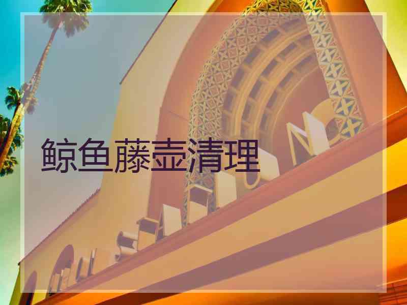 鲸鱼藤壶清理