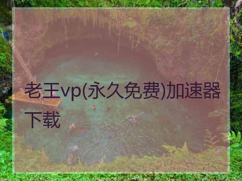 老王vp(永久免费)加速器下载