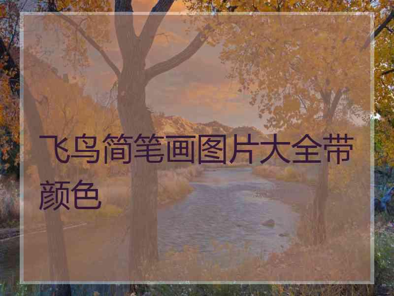 飞鸟简笔画图片大全带颜色