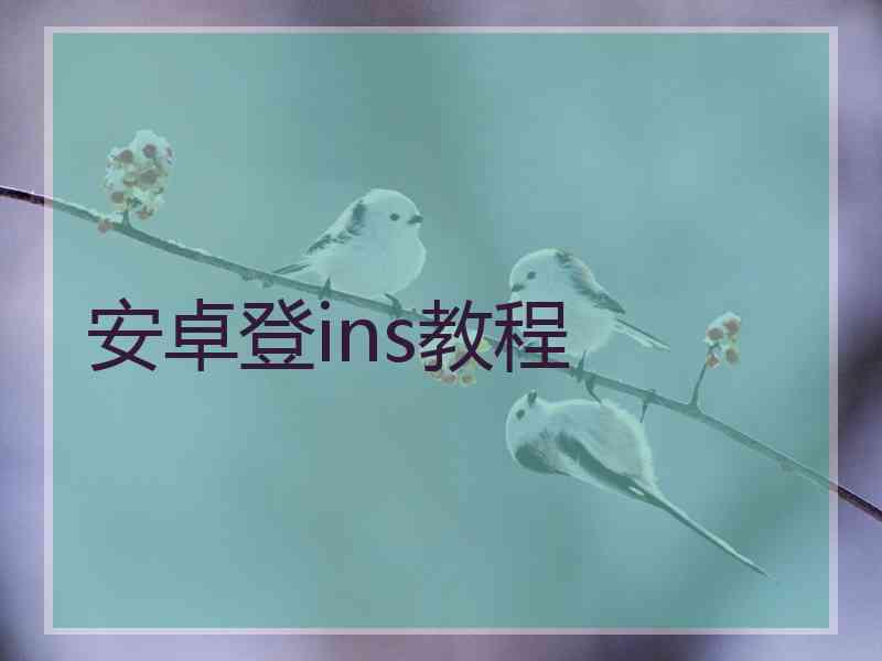 安卓登ins教程