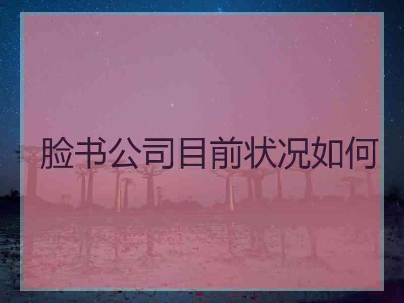 脸书公司目前状况如何