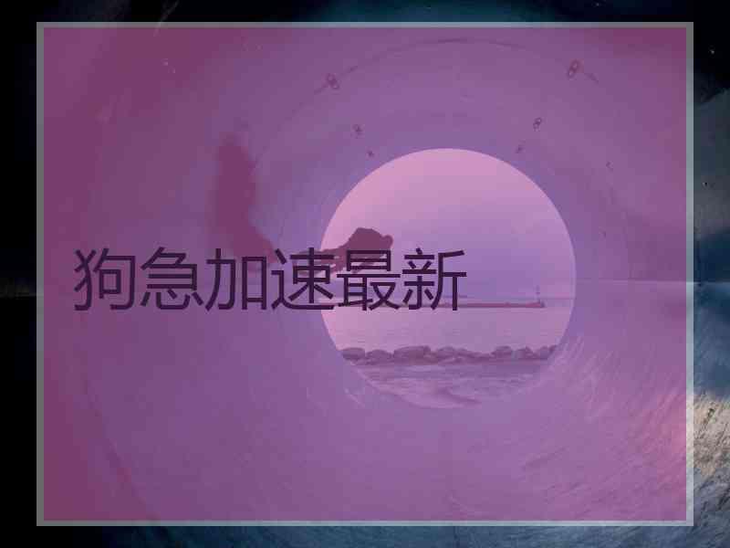 狗急加速最新