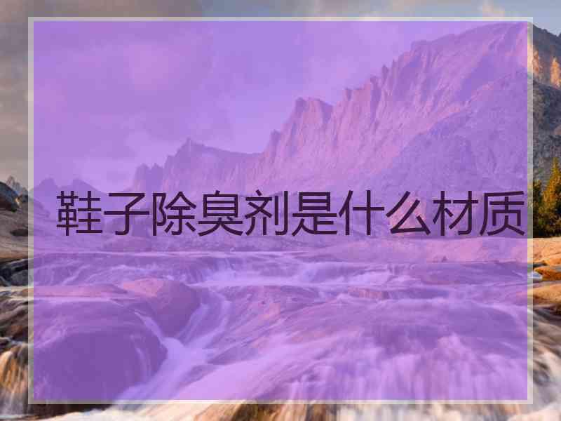 鞋子除臭剂是什么材质